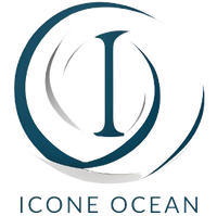 Ícone Store
